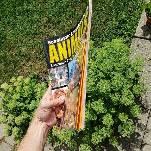 Book | Scholastic Encyclopedia of Animals - Picture 2 of 6